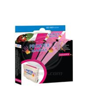 Cartuccia Epson serie T796 Magenta chiara